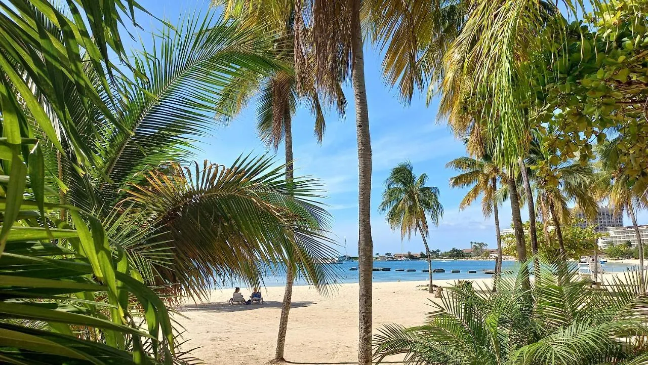 Beach One Bedroom 2 Ocho Rios Jamaica