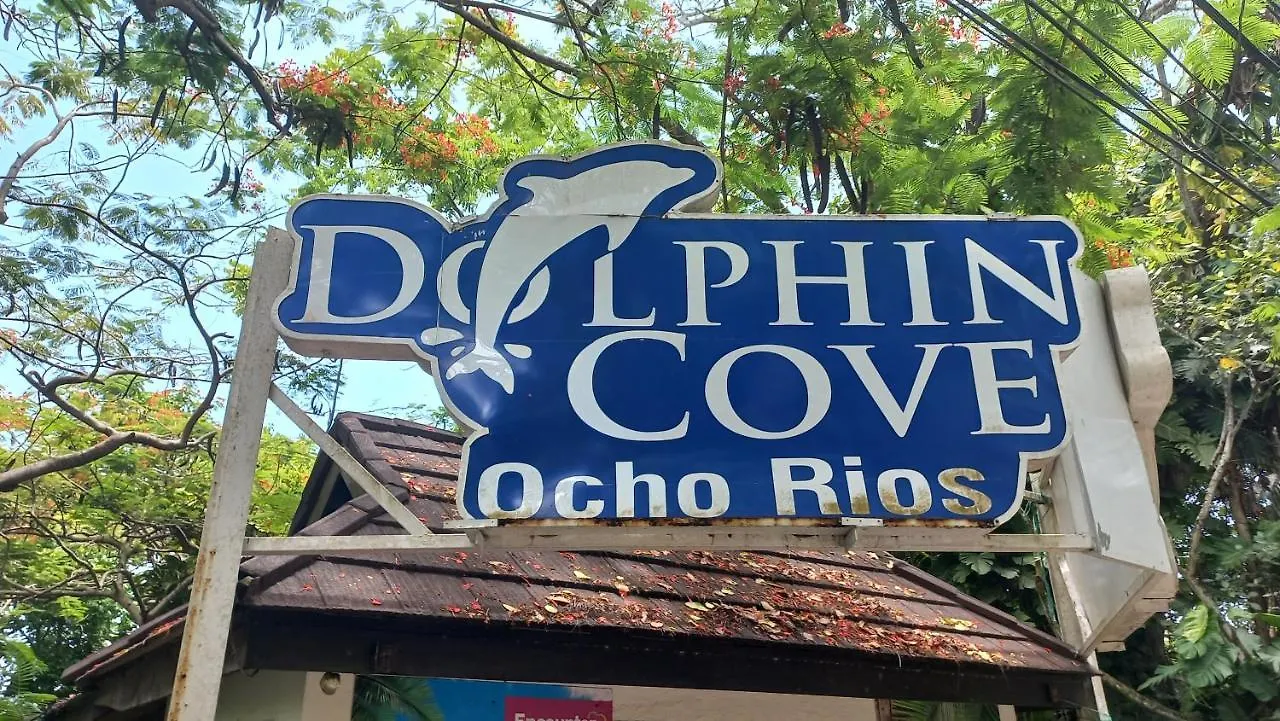 Aparthotel Beach One Bedroom 2 Ocho Rios