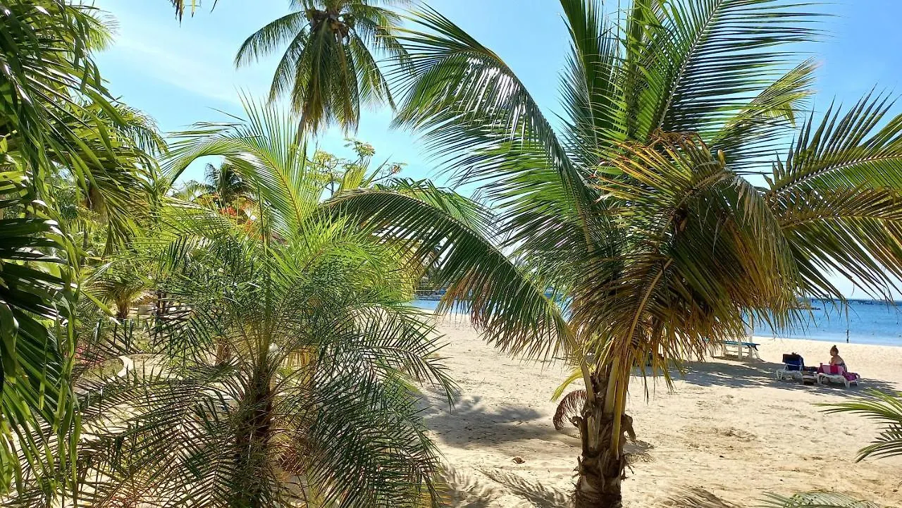 Beach One Bedroom 2 Ocho Rios 0*,